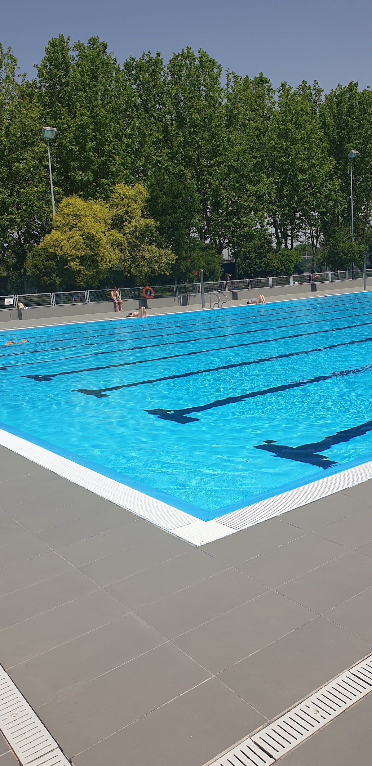 Centro Deportivo Municipal Margot Moles